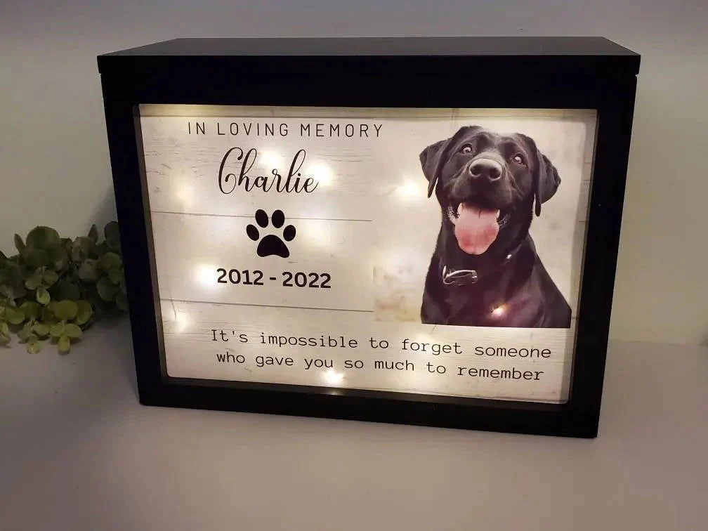 Pet Memorial